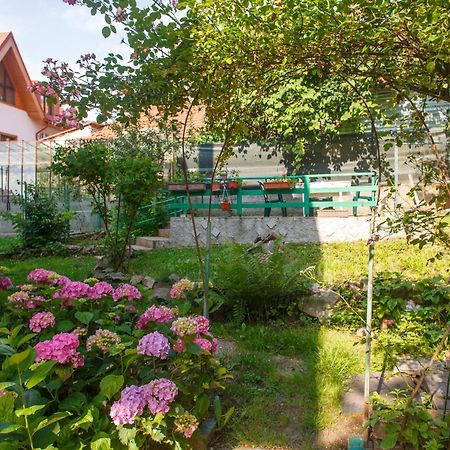 Barok Appart Brasov Exterior photo