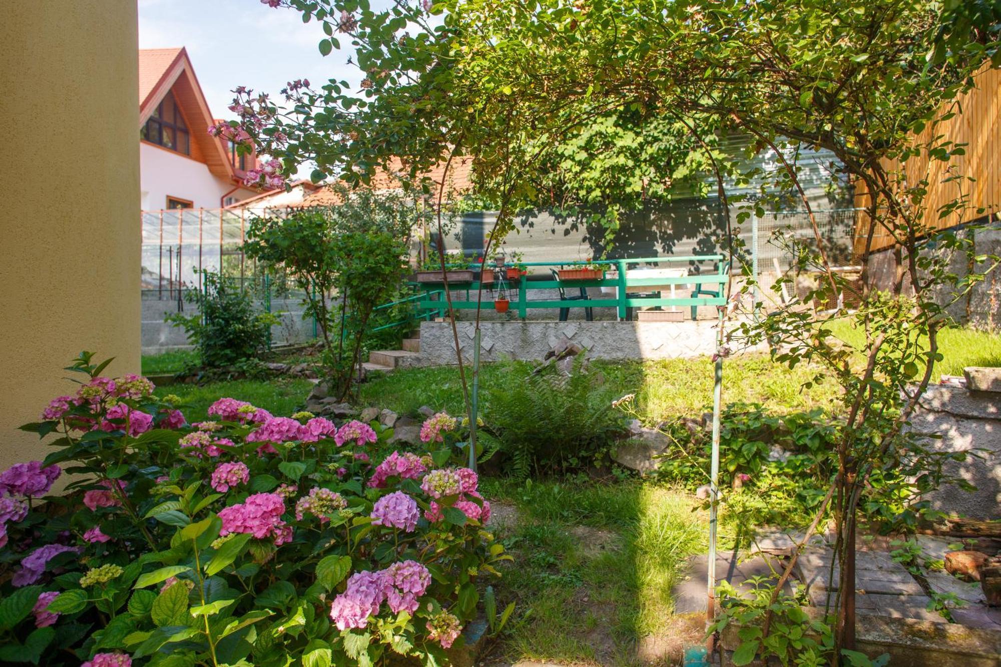 Barok Appart Brasov Exterior photo
